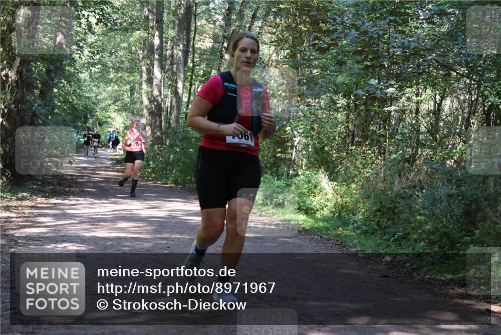 28.09.2025 - 33. Volkslauf durch das schöne Alstertal Strokosch-Dieckow http://msf.ph/oto/8971967 28.09.2025 12:26:21 Laufen 061 meine-sportfotos.de