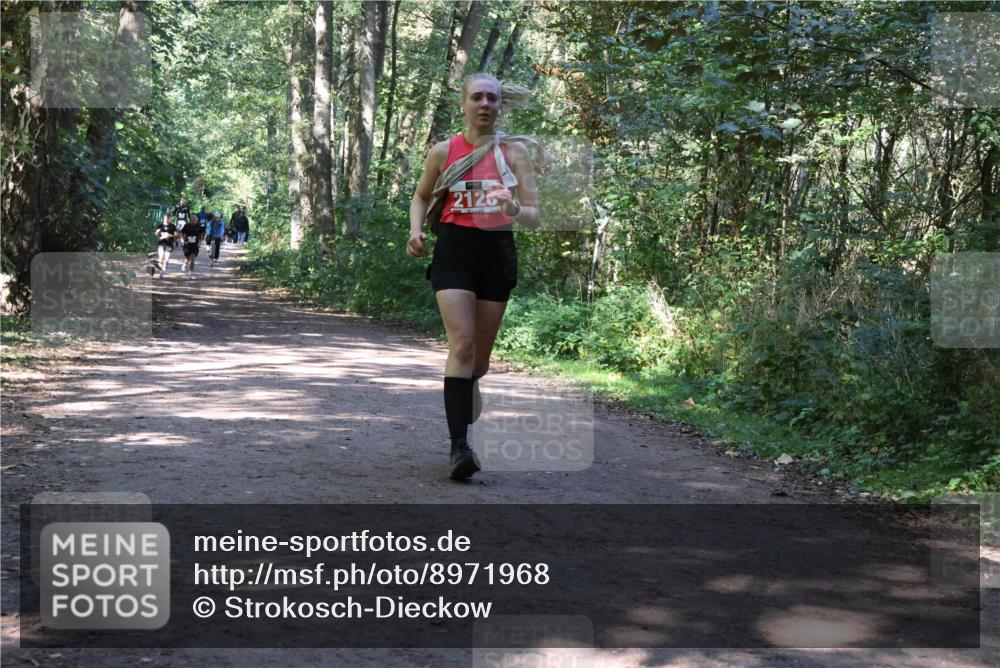 28.09.2025 - 33. Volkslauf durch das schöne Alstertal Strokosch-Dieckow http://msf.ph/oto/8971968 28.09.2025 12:26:25 Laufen 2126 meine-sportfotos.de