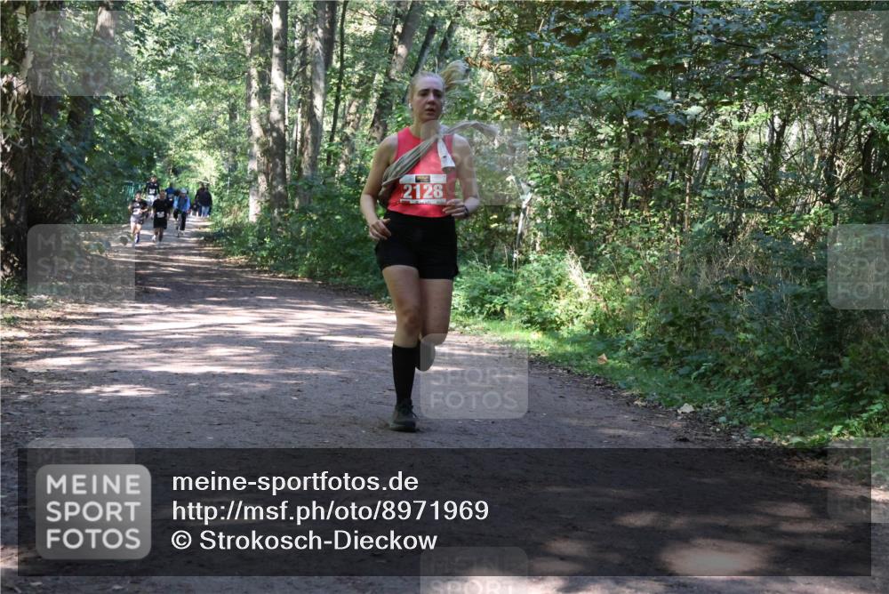 28.09.2025 - 33. Volkslauf durch das schöne Alstertal Strokosch-Dieckow http://msf.ph/oto/8971969 28.09.2025 12:26:25 Laufen 2128 meine-sportfotos.de