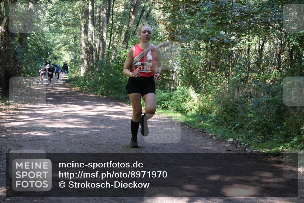 28.09.2025 - 33. Volkslauf durch das schöne Alstertal Strokosch-Dieckow http://msf.ph/oto/8971970 28.09.2025 12:26:25 Laufen 2128 meine-sportfotos.de
