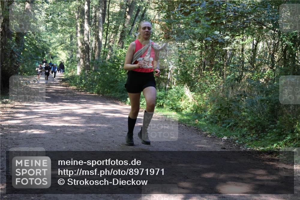 28.09.2025 - 33. Volkslauf durch das schöne Alstertal Strokosch-Dieckow http://msf.ph/oto/8971971 28.09.2025 12:26:25 Laufen  meine-sportfotos.de