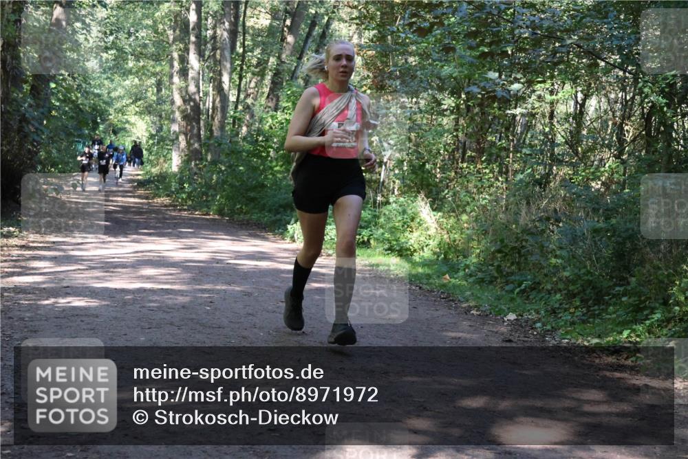 28.09.2025 - 33. Volkslauf durch das schöne Alstertal Strokosch-Dieckow http://msf.ph/oto/8971972 28.09.2025 12:26:25 Laufen  meine-sportfotos.de