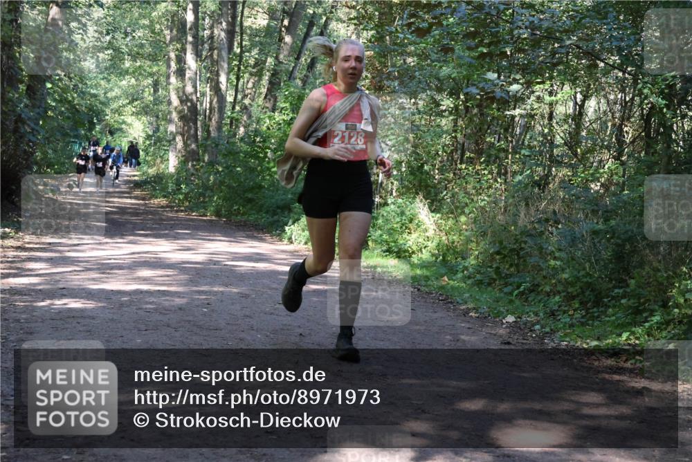 28.09.2025 - 33. Volkslauf durch das schöne Alstertal Strokosch-Dieckow http://msf.ph/oto/8971973 28.09.2025 12:26:25 Laufen 2128, 17 meine-sportfotos.de