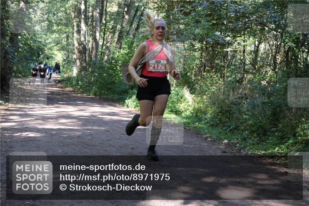 28.09.2025 - 33. Volkslauf durch das schöne Alstertal Strokosch-Dieckow http://msf.ph/oto/8971975 28.09.2025 12:26:25 Laufen 2128 meine-sportfotos.de