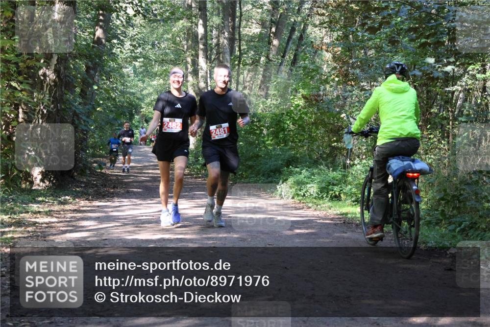 28.09.2025 - 33. Volkslauf durch das schöne Alstertal Strokosch-Dieckow http://msf.ph/oto/8971976 28.09.2025 12:26:39 Laufen 2482, 2481 meine-sportfotos.de