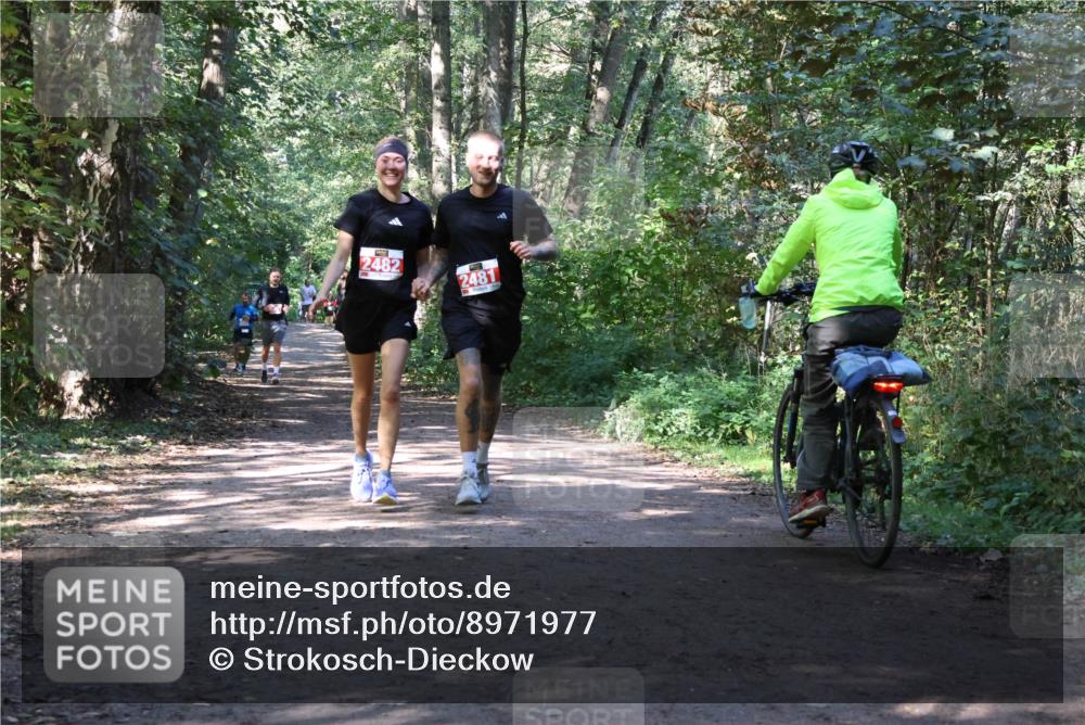 28.09.2025 - 33. Volkslauf durch das schöne Alstertal Strokosch-Dieckow http://msf.ph/oto/8971977 28.09.2025 12:26:39 Laufen 2482, 2481 meine-sportfotos.de