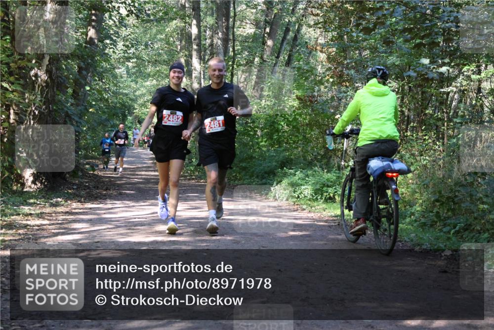 28.09.2025 - 33. Volkslauf durch das schöne Alstertal Strokosch-Dieckow http://msf.ph/oto/8971978 28.09.2025 12:26:39 Laufen 2482, 2481 meine-sportfotos.de