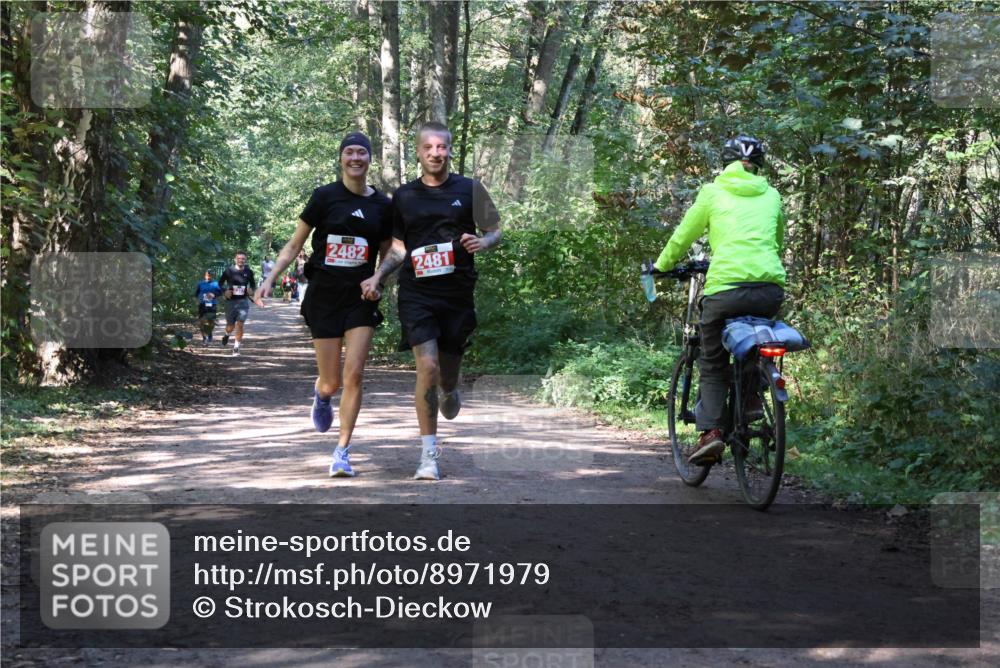 28.09.2025 - 33. Volkslauf durch das schöne Alstertal Strokosch-Dieckow http://msf.ph/oto/8971979 28.09.2025 12:26:39 Laufen 2482, 2481 meine-sportfotos.de
