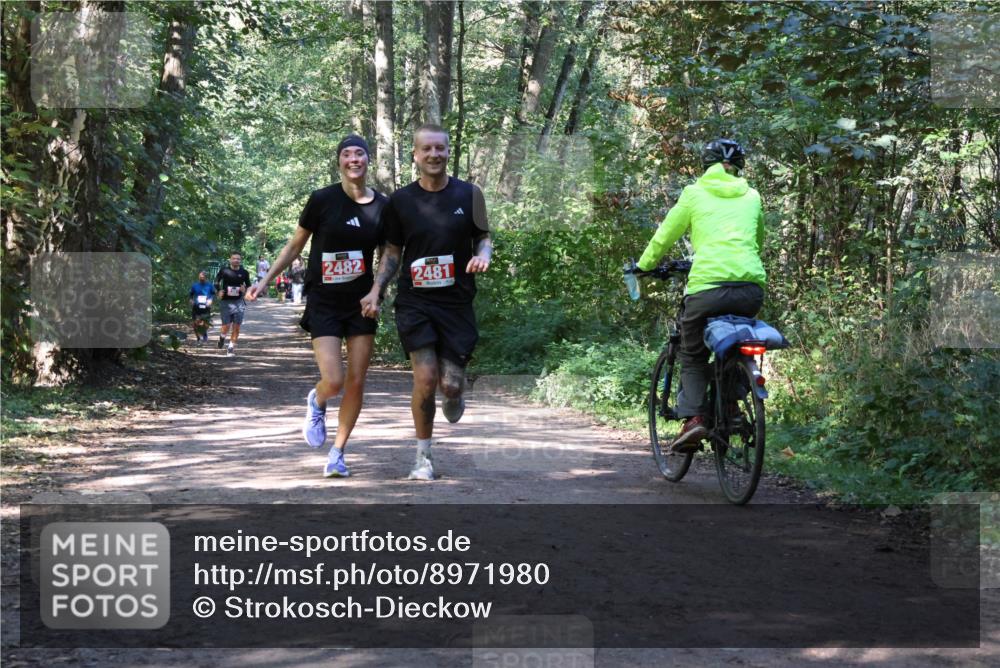 28.09.2025 - 33. Volkslauf durch das schöne Alstertal Strokosch-Dieckow http://msf.ph/oto/8971980 28.09.2025 12:26:39 Laufen 2482, 2481 meine-sportfotos.de