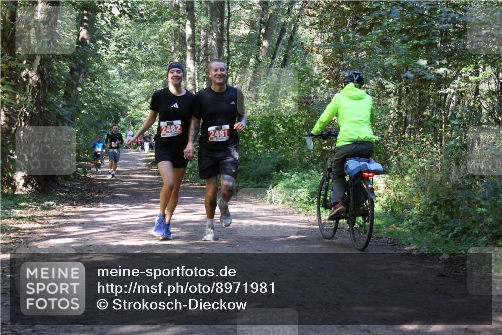 28.09.2025 - 33. Volkslauf durch das schöne Alstertal Strokosch-Dieckow http://msf.ph/oto/8971981 28.09.2025 12:26:39 Laufen 2482, 2481 meine-sportfotos.de