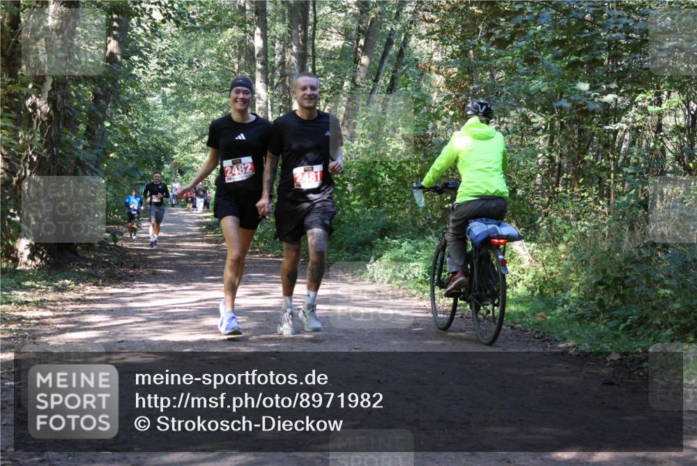 28.09.2025 - 33. Volkslauf durch das schöne Alstertal Strokosch-Dieckow http://msf.ph/oto/8971982 28.09.2025 12:26:39 Laufen 2482, 2481 meine-sportfotos.de