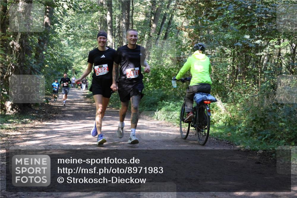 28.09.2025 - 33. Volkslauf durch das schöne Alstertal Strokosch-Dieckow http://msf.ph/oto/8971983 28.09.2025 12:26:40 Laufen 2482, 2481 meine-sportfotos.de