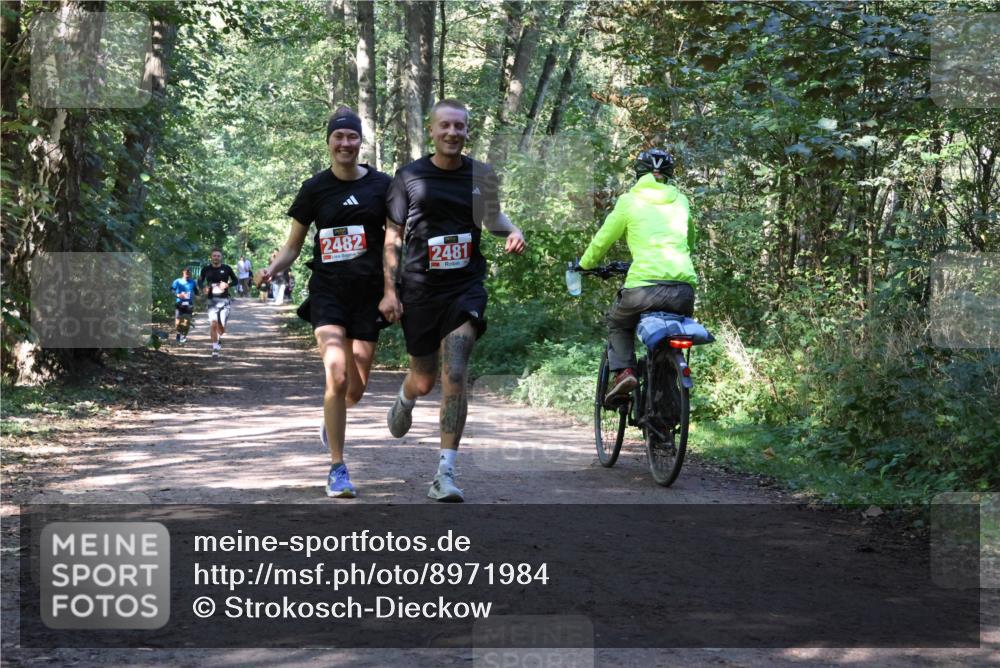28.09.2025 - 33. Volkslauf durch das schöne Alstertal Strokosch-Dieckow http://msf.ph/oto/8971984 28.09.2025 12:26:40 Laufen 2482, 2481 meine-sportfotos.de