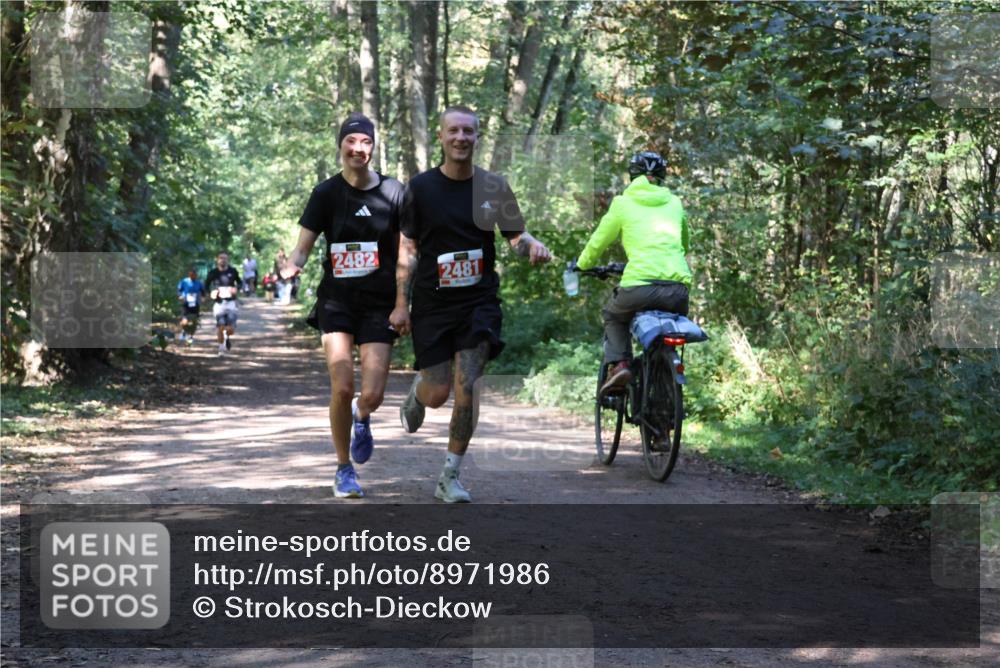 28.09.2025 - 33. Volkslauf durch das schöne Alstertal Strokosch-Dieckow http://msf.ph/oto/8971986 28.09.2025 12:26:40 Laufen 2482, 2481 meine-sportfotos.de