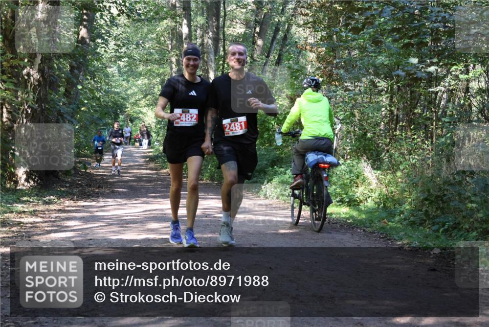 28.09.2025 - 33. Volkslauf durch das schöne Alstertal Strokosch-Dieckow http://msf.ph/oto/8971988 28.09.2025 12:26:40 Laufen 482, 2481 meine-sportfotos.de