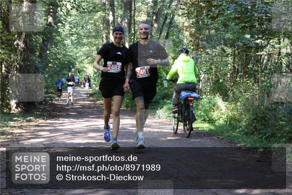 28.09.2025 - 33. Volkslauf durch das schöne Alstertal Strokosch-Dieckow http://msf.ph/oto/8971989 28.09.2025 12:26:40 Laufen 2482, 2481, 3 meine-sportfotos.de