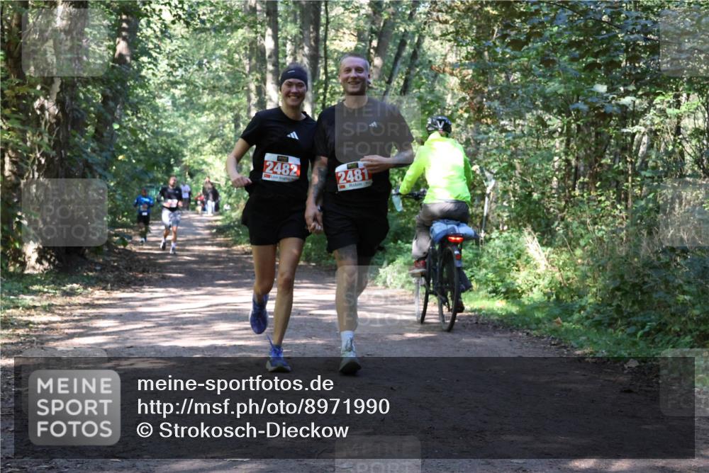 28.09.2025 - 33. Volkslauf durch das schöne Alstertal Strokosch-Dieckow http://msf.ph/oto/8971990 28.09.2025 12:26:40 Laufen 2482, 2481 meine-sportfotos.de