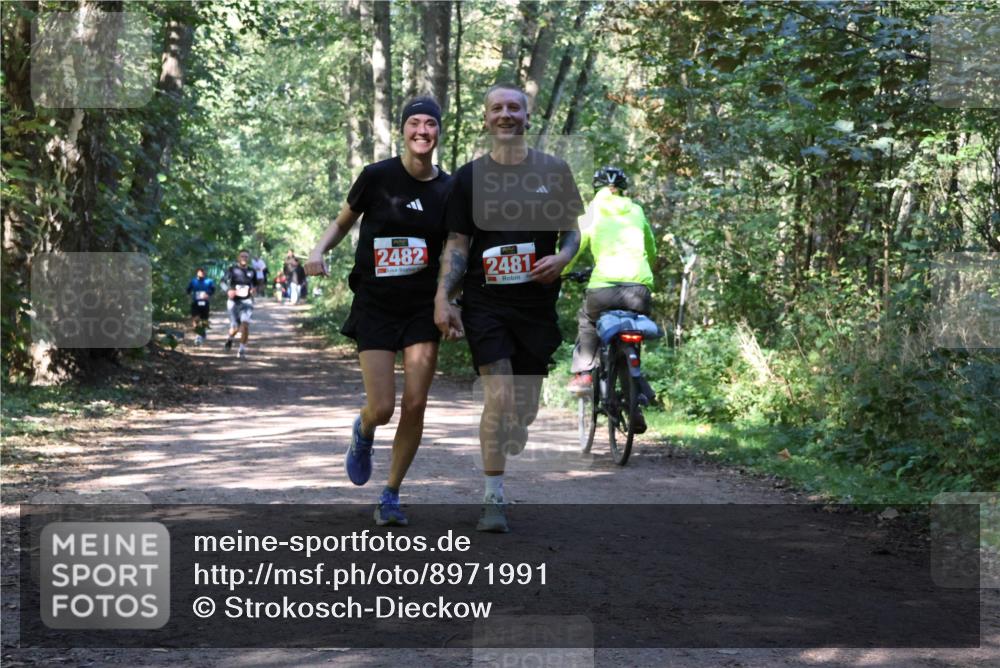 28.09.2025 - 33. Volkslauf durch das schöne Alstertal Strokosch-Dieckow http://msf.ph/oto/8971991 28.09.2025 12:26:40 Laufen 2482, 2481 meine-sportfotos.de