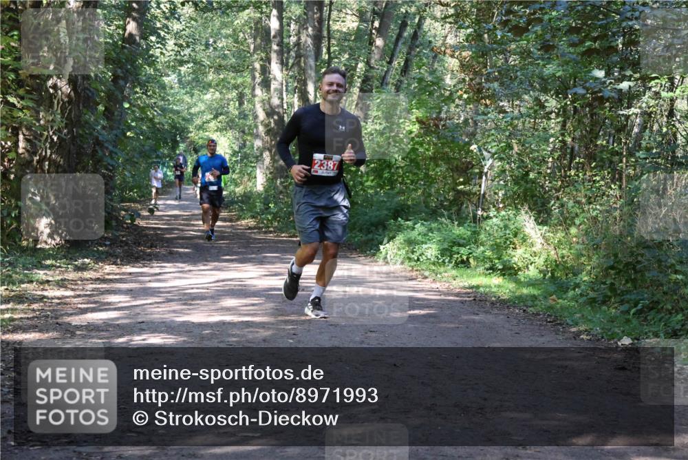 28.09.2025 - 33. Volkslauf durch das schöne Alstertal Strokosch-Dieckow http://msf.ph/oto/8971993 28.09.2025 12:26:49 Laufen 2387 meine-sportfotos.de