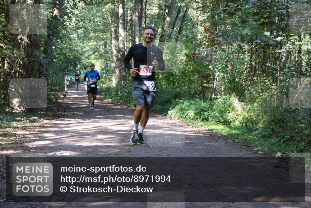28.09.2025 - 33. Volkslauf durch das schöne Alstertal Strokosch-Dieckow http://msf.ph/oto/8971994 28.09.2025 12:26:49 Laufen 2387 meine-sportfotos.de