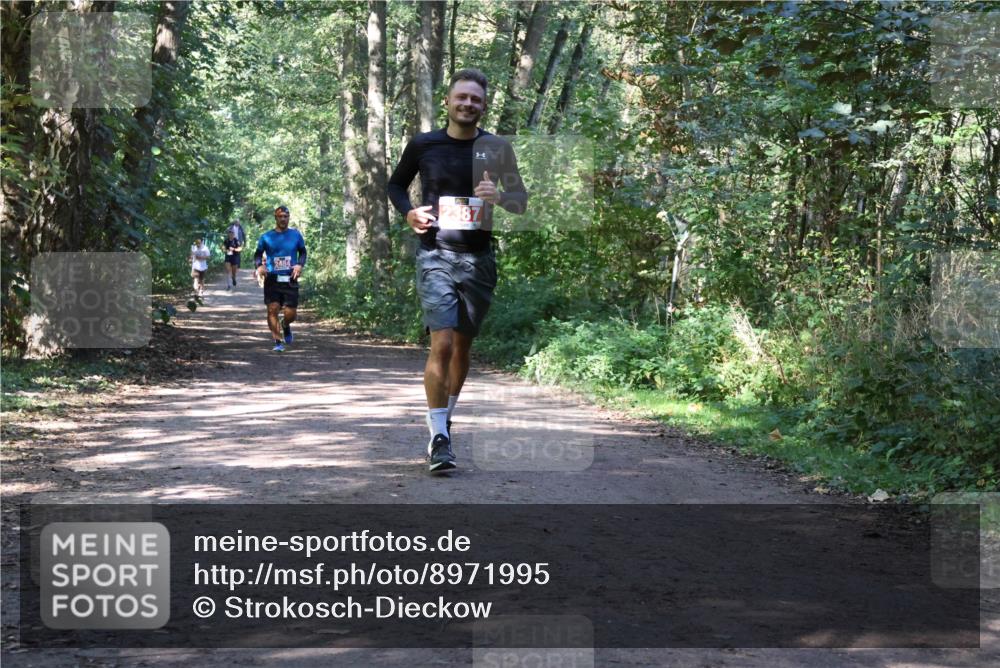 28.09.2025 - 33. Volkslauf durch das schöne Alstertal Strokosch-Dieckow http://msf.ph/oto/8971995 28.09.2025 12:26:49 Laufen 2484, 2387 meine-sportfotos.de