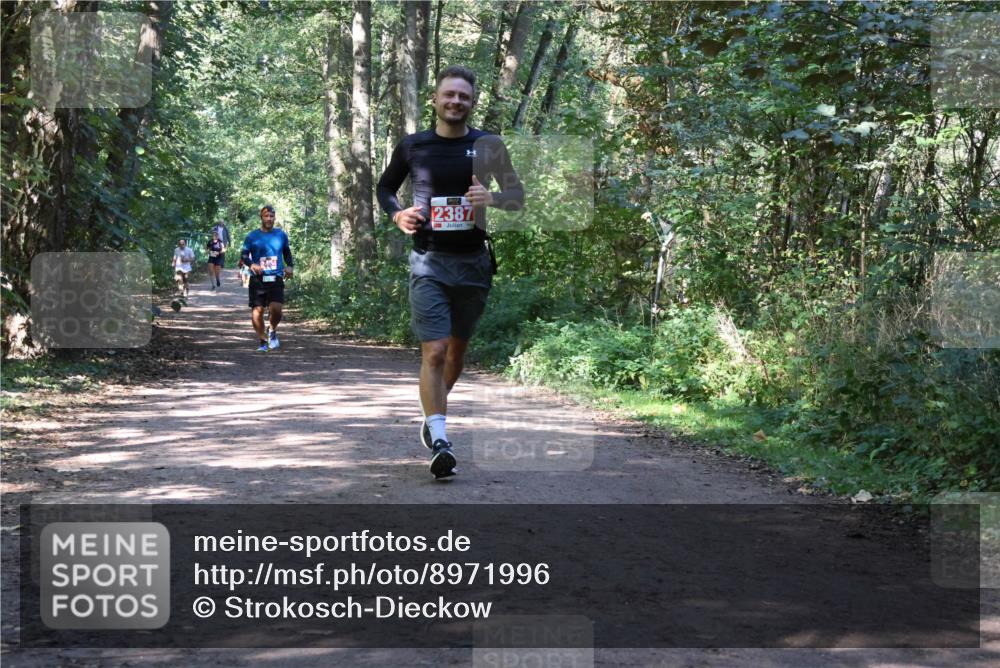 28.09.2025 - 33. Volkslauf durch das schöne Alstertal Strokosch-Dieckow http://msf.ph/oto/8971996 28.09.2025 12:26:49 Laufen 2387 meine-sportfotos.de