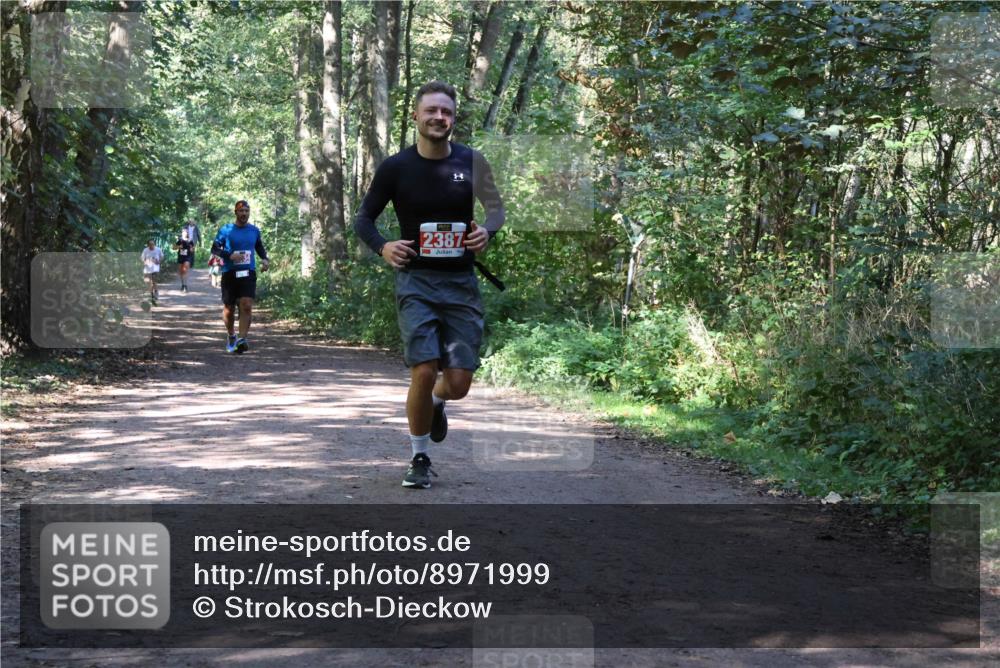 28.09.2025 - 33. Volkslauf durch das schöne Alstertal Strokosch-Dieckow http://msf.ph/oto/8971999 28.09.2025 12:26:49 Laufen 2387 meine-sportfotos.de