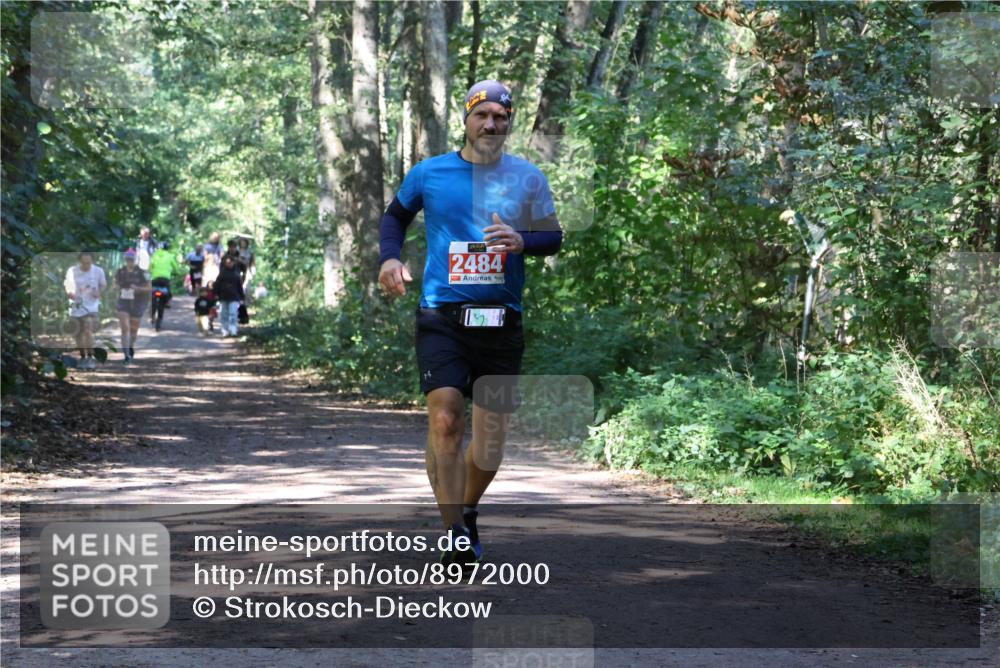 28.09.2025 - 33. Volkslauf durch das schöne Alstertal Strokosch-Dieckow http://msf.ph/oto/8972000 28.09.2025 12:26:55 Laufen 2484 meine-sportfotos.de