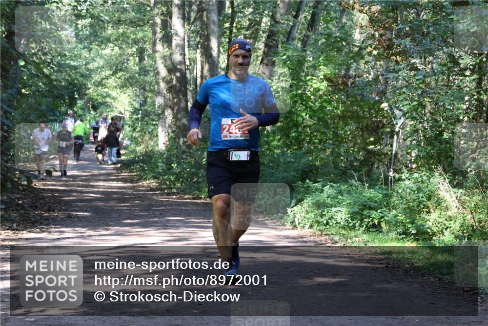 28.09.2025 - 33. Volkslauf durch das schöne Alstertal Strokosch-Dieckow http://msf.ph/oto/8972001 28.09.2025 12:26:55 Laufen 246 meine-sportfotos.de