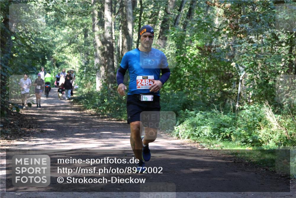 28.09.2025 - 33. Volkslauf durch das schöne Alstertal Strokosch-Dieckow http://msf.ph/oto/8972002 28.09.2025 12:26:55 Laufen 2484 meine-sportfotos.de