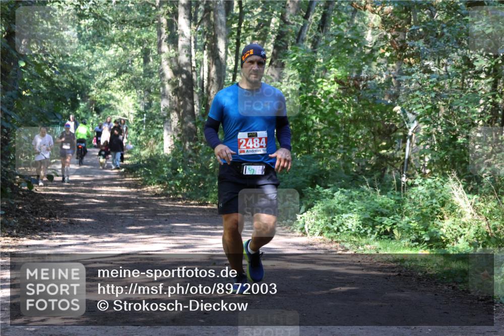 28.09.2025 - 33. Volkslauf durch das schöne Alstertal Strokosch-Dieckow http://msf.ph/oto/8972003 28.09.2025 12:26:55 Laufen 2484 meine-sportfotos.de