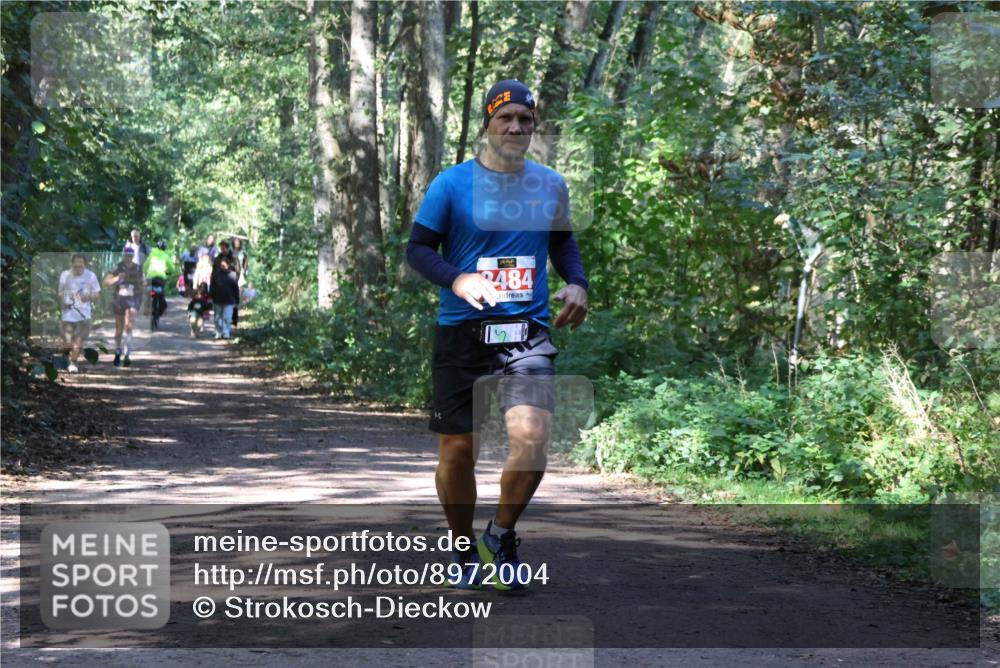 28.09.2025 - 33. Volkslauf durch das schöne Alstertal Strokosch-Dieckow http://msf.ph/oto/8972004 28.09.2025 12:26:55 Laufen 484 meine-sportfotos.de
