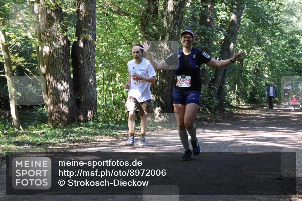28.09.2025 - 33. Volkslauf durch das schöne Alstertal Strokosch-Dieckow http://msf.ph/oto/8972006 28.09.2025 12:27:08 Laufen 2436 meine-sportfotos.de
