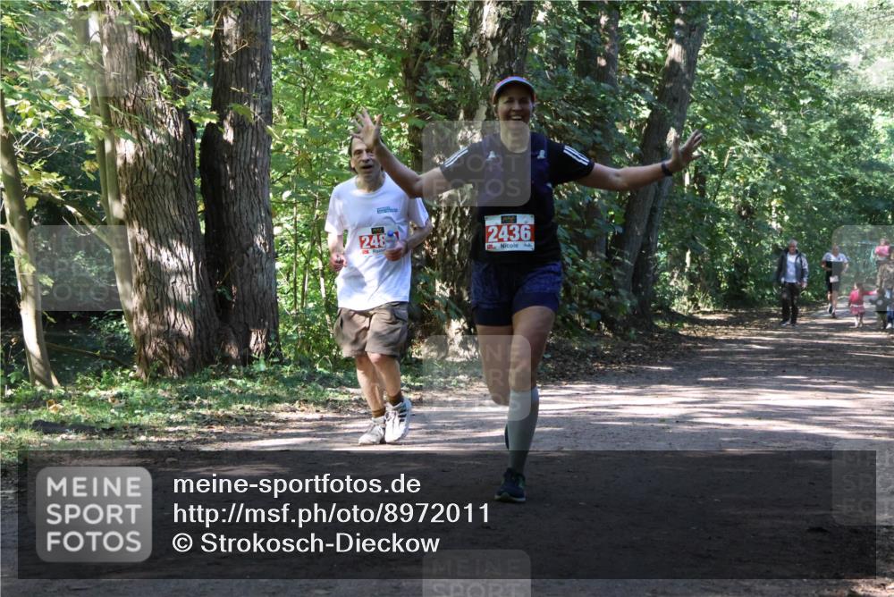 28.09.2025 - 33. Volkslauf durch das schöne Alstertal Strokosch-Dieckow http://msf.ph/oto/8972011 28.09.2025 12:27:09 Laufen 248, 2436 meine-sportfotos.de