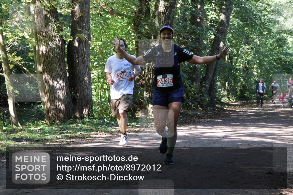 28.09.2025 - 33. Volkslauf durch das schöne Alstertal Strokosch-Dieckow http://msf.ph/oto/8972012 28.09.2025 12:27:09 Laufen 2486, 2436 meine-sportfotos.de