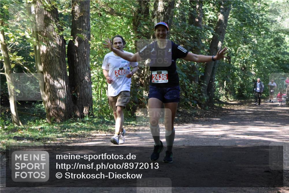 28.09.2025 - 33. Volkslauf durch das schöne Alstertal Strokosch-Dieckow http://msf.ph/oto/8972013 28.09.2025 12:27:09 Laufen 2486, 2436 meine-sportfotos.de