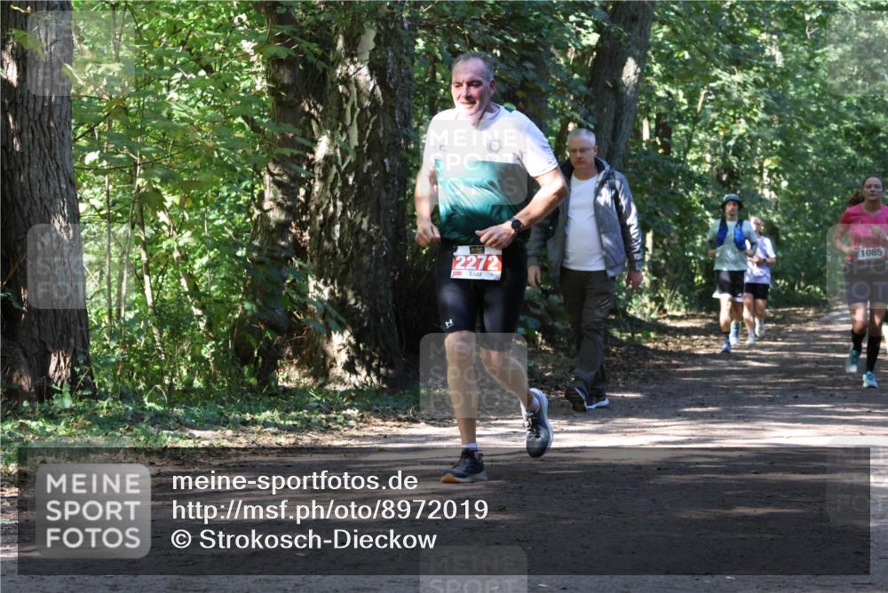 28.09.2025 - 33. Volkslauf durch das schöne Alstertal Strokosch-Dieckow http://msf.ph/oto/8972019 28.09.2025 12:27:27 Laufen 2272, 1085 meine-sportfotos.de