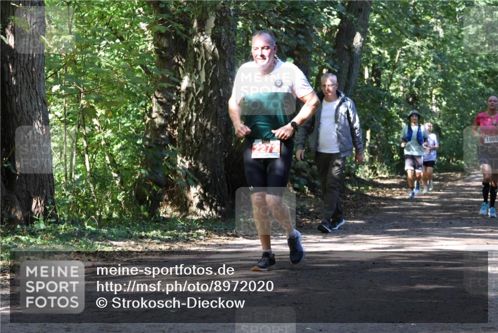 28.09.2025 - 33. Volkslauf durch das schöne Alstertal Strokosch-Dieckow http://msf.ph/oto/8972020 28.09.2025 12:27:27 Laufen 2272, 1085 meine-sportfotos.de