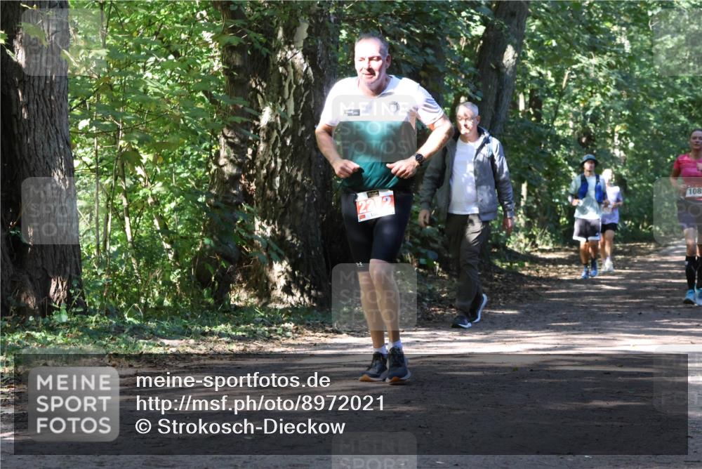 28.09.2025 - 33. Volkslauf durch das schöne Alstertal Strokosch-Dieckow http://msf.ph/oto/8972021 28.09.2025 12:27:27 Laufen 1, 227, 1085 meine-sportfotos.de