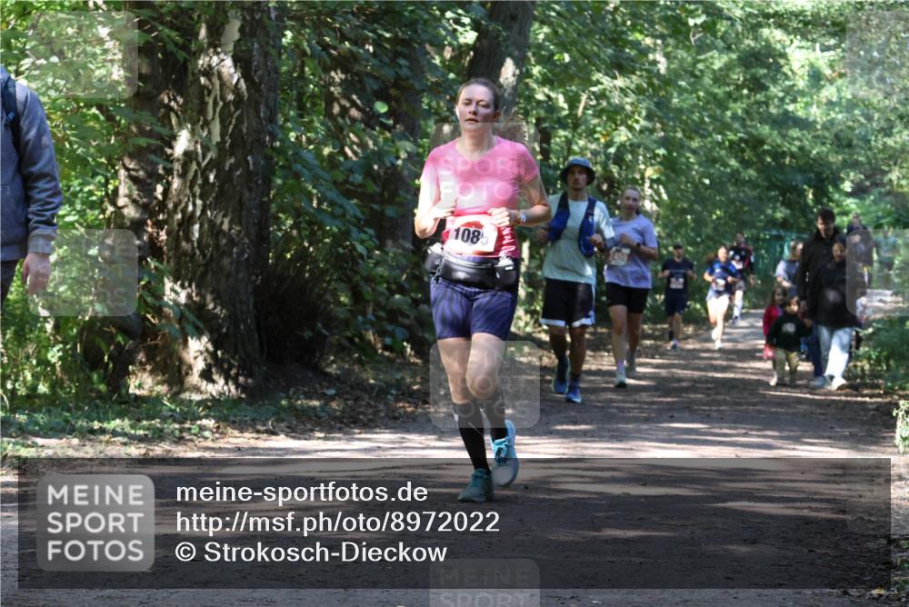 28.09.2025 - 33. Volkslauf durch das schöne Alstertal Strokosch-Dieckow http://msf.ph/oto/8972022 28.09.2025 12:27:32 Laufen 108, 2456 meine-sportfotos.de