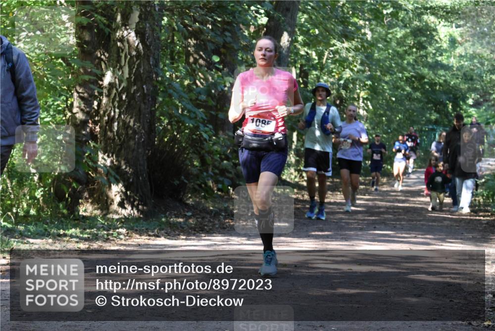 28.09.2025 - 33. Volkslauf durch das schöne Alstertal Strokosch-Dieckow http://msf.ph/oto/8972023 28.09.2025 12:27:32 Laufen 108 meine-sportfotos.de