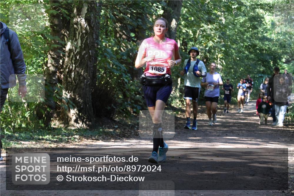 28.09.2025 - 33. Volkslauf durch das schöne Alstertal Strokosch-Dieckow http://msf.ph/oto/8972024 28.09.2025 12:27:32 Laufen 1085, 2456 meine-sportfotos.de