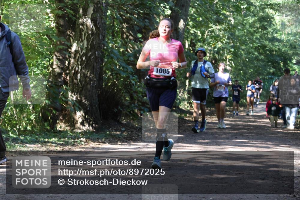 28.09.2025 - 33. Volkslauf durch das schöne Alstertal Strokosch-Dieckow http://msf.ph/oto/8972025 28.09.2025 12:27:32 Laufen 1085, 2456 meine-sportfotos.de
