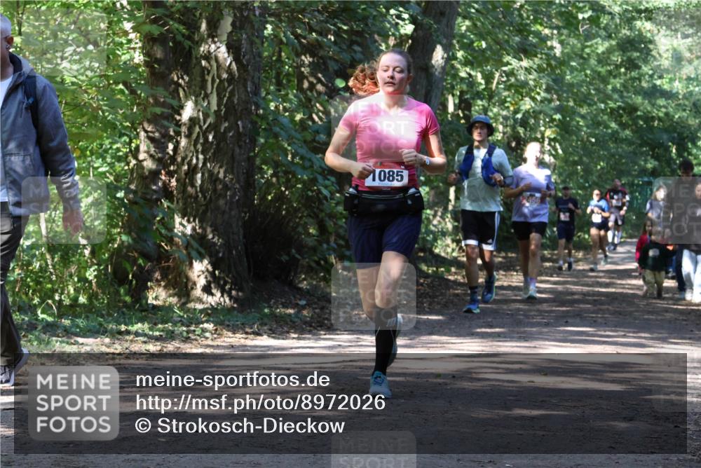 28.09.2025 - 33. Volkslauf durch das schöne Alstertal Strokosch-Dieckow http://msf.ph/oto/8972026 28.09.2025 12:27:32 Laufen 1085 meine-sportfotos.de