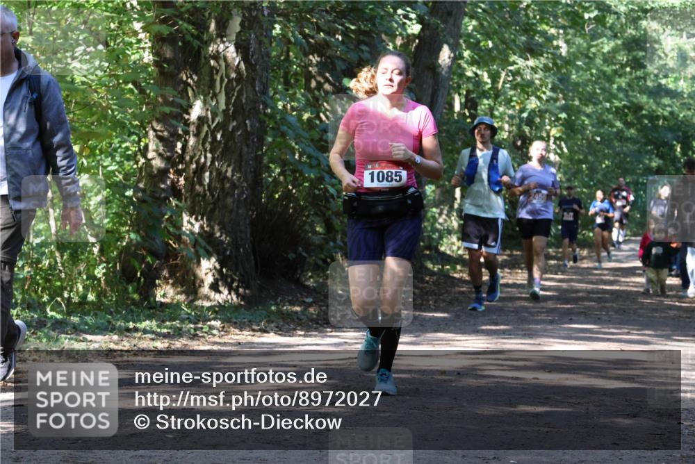 28.09.2025 - 33. Volkslauf durch das schöne Alstertal Strokosch-Dieckow http://msf.ph/oto/8972027 28.09.2025 12:27:32 Laufen 1085, 2456 meine-sportfotos.de