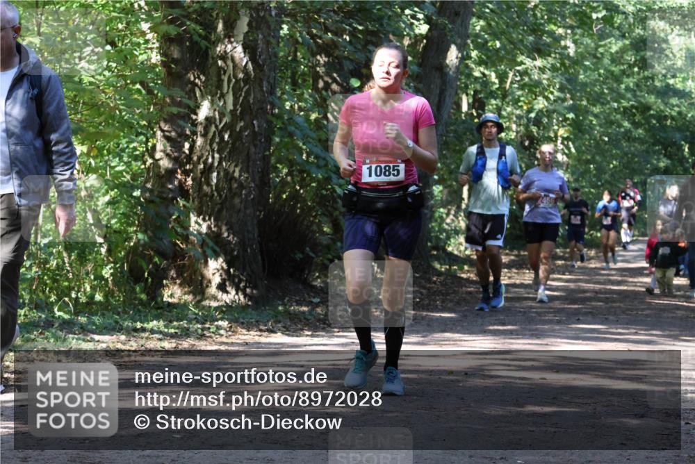 28.09.2025 - 33. Volkslauf durch das schöne Alstertal Strokosch-Dieckow http://msf.ph/oto/8972028 28.09.2025 12:27:32 Laufen 1085 meine-sportfotos.de