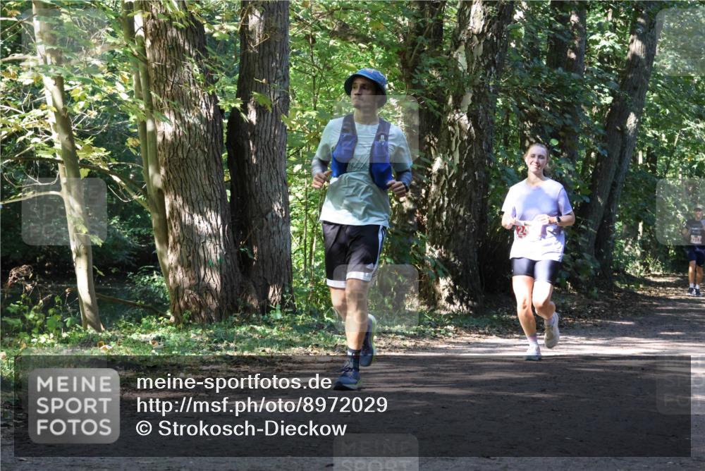 28.09.2025 - 33. Volkslauf durch das schöne Alstertal Strokosch-Dieckow http://msf.ph/oto/8972029 28.09.2025 12:27:37 Laufen 2317 meine-sportfotos.de
