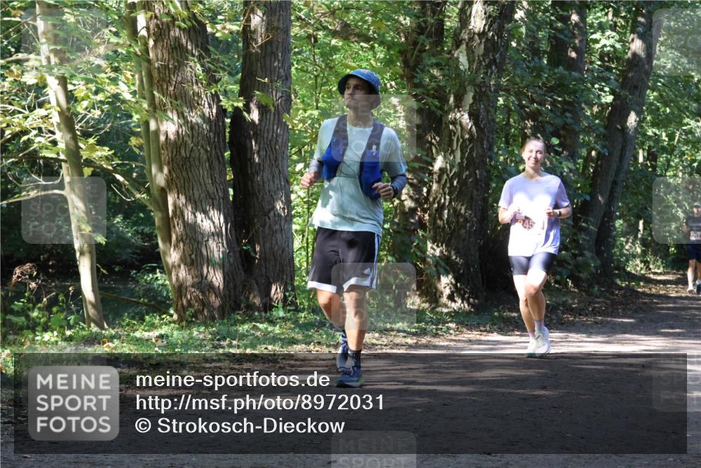 28.09.2025 - 33. Volkslauf durch das schöne Alstertal Strokosch-Dieckow http://msf.ph/oto/8972031 28.09.2025 12:27:37 Laufen  meine-sportfotos.de