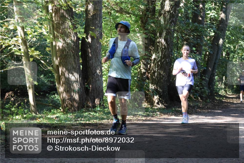 28.09.2025 - 33. Volkslauf durch das schöne Alstertal Strokosch-Dieckow http://msf.ph/oto/8972032 28.09.2025 12:27:37 Laufen  meine-sportfotos.de