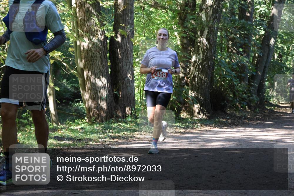 28.09.2025 - 33. Volkslauf durch das schöne Alstertal Strokosch-Dieckow http://msf.ph/oto/8972033 28.09.2025 12:27:39 Laufen 2456 meine-sportfotos.de
